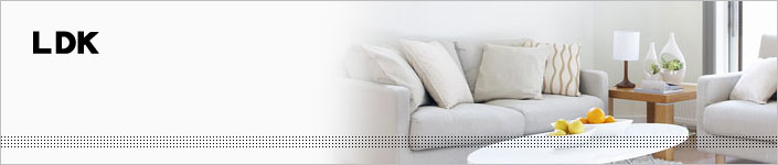 ＬＤＫ