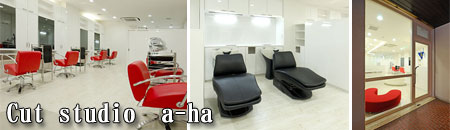 事例　豊中市 カットスタジオ